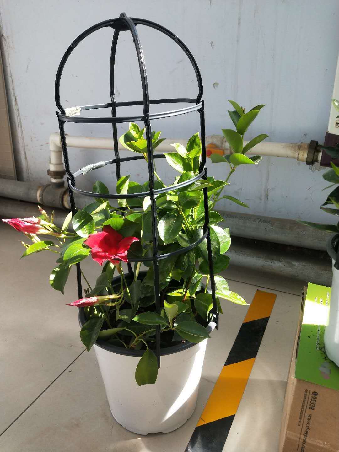 00c8d1b879b9b79c0d6900e737e314