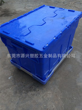 ܇�g��ˮ�����w���D�� �ׯB�B�w�����܇�Ѷ�}��б�巭�w������