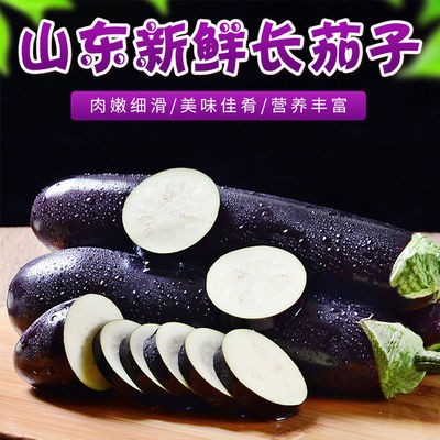 长茄子 新鲜紫皮茄子 4斤包邮 时令蔬菜现摘现发一件一斤五斤包邮|ms