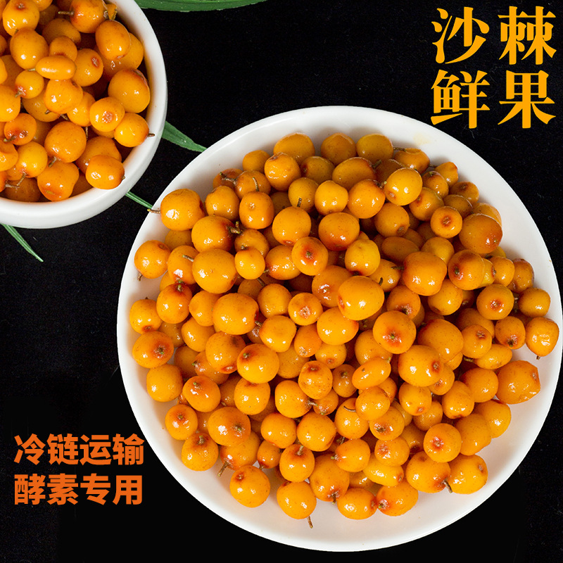 Xinjiang Organic Seabuckthorn fruit Cold Chain Seabuckthorn Fresh fruit Seabuckthorn Seabuckthorn Raw pulp Seabuckthorn Enzyme