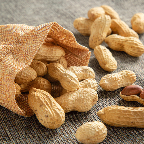 Kefan Milky Peanuts 500g Bag Casual Office Snacks Specialty Snacks Nuts Roasted Peanuts Wholesale Delivery