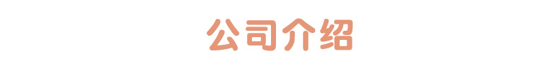 公司介绍