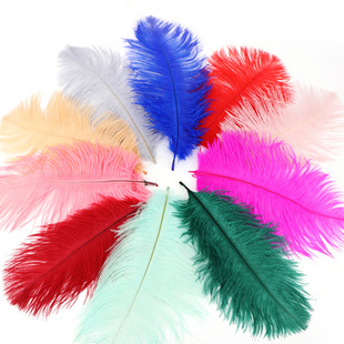 �S�����l�r�Bë15-20cm��c�r�B��ë����Ʒ�^����DIY�OӋ
