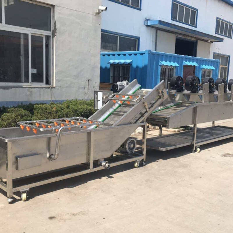 厂家 西红柿清洗机 全自动洗水果机器 圣女果清洗风干流水线