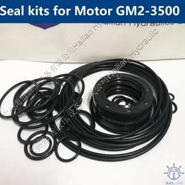 修理包Seal kits for Motor GM2-3500 SAI MOTOR O RING OIL SEAL