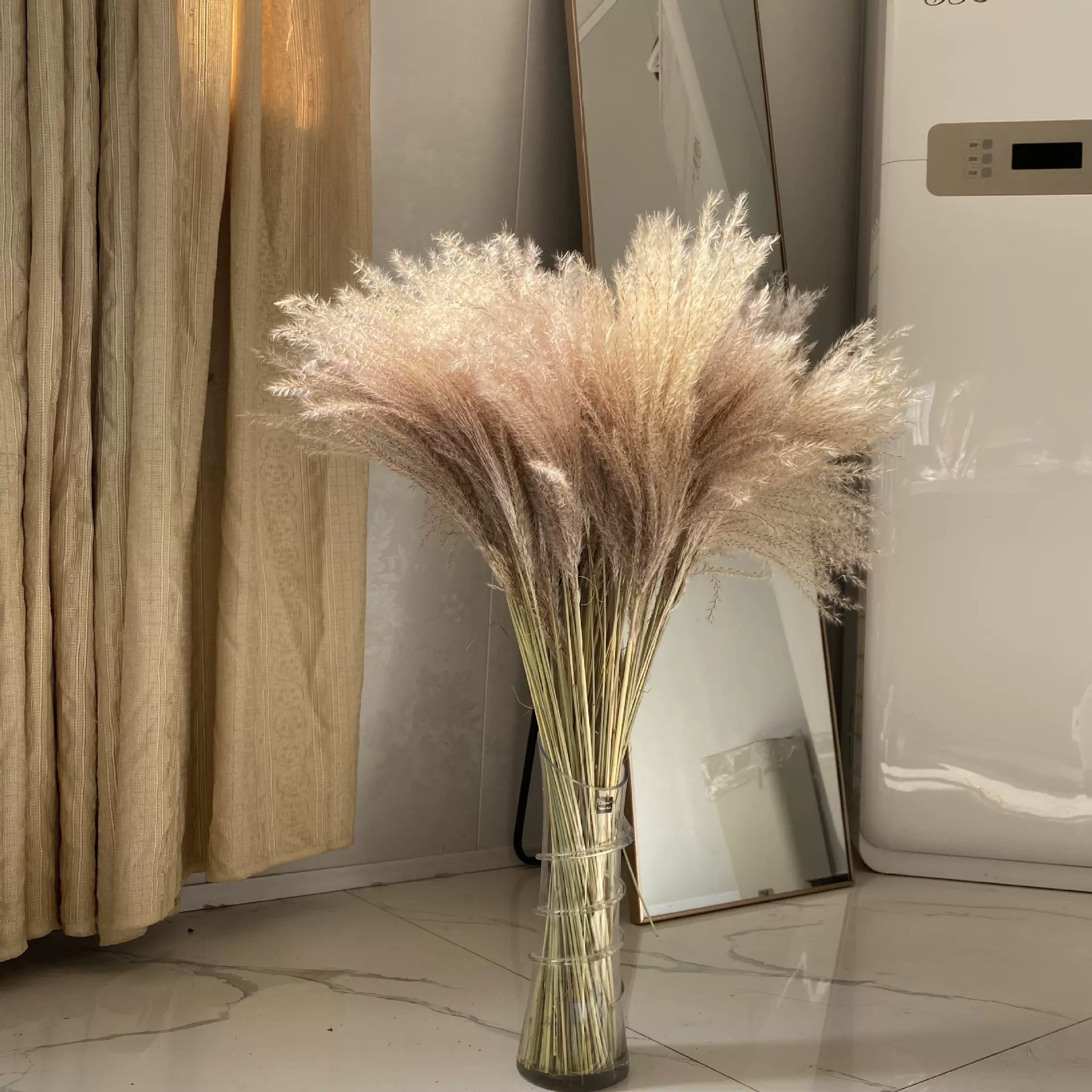 芦苇干花永生花束橱窗装饰摆件芦苇花拂尘浮沉花干花婚庆道具外贸