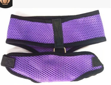 Gato y perro chaleco-estilo transpirable hámster moda malla mascota pecho espalda traje malla mascota más traje de tracción