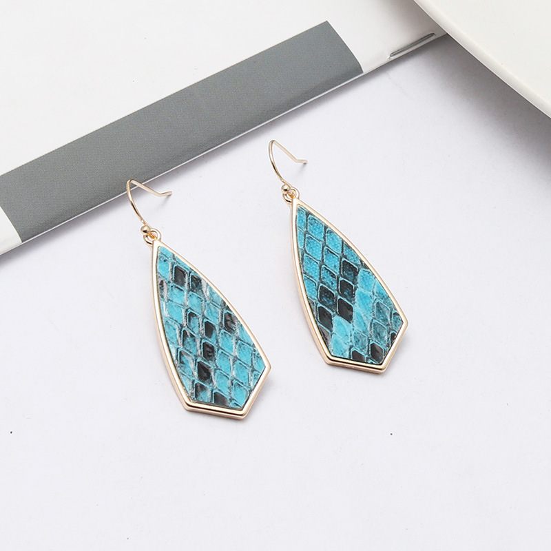 1 Pair Retro Polygon Leopard Inlay Alloy Pu Shell Drop Earrings display picture 4