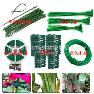 �羳���� ֲ��A�����b ����ֲ��֧��  ���������и���