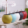 Scandinavian plastic street automatic flowerpot, table jewelry, Nordic style, simple and elegant design