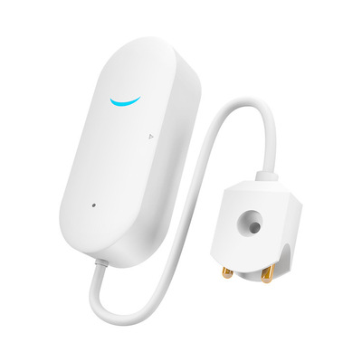 Tuya Graffiti Wi -Fi Smart Leakage Apar