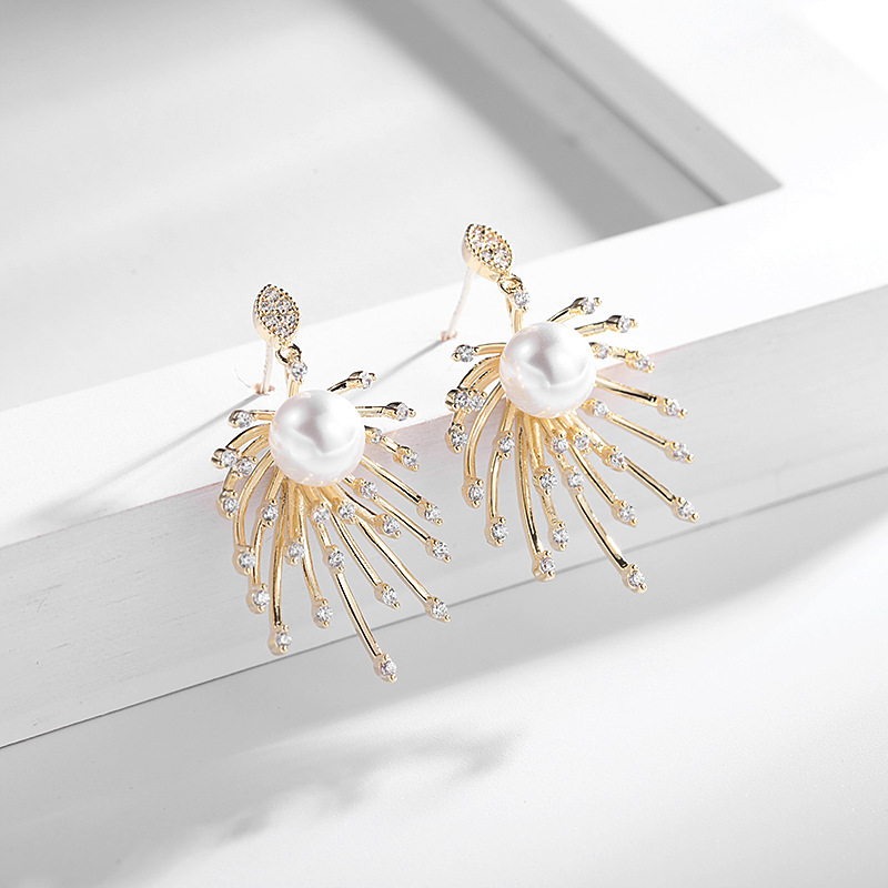 Boucles D&#39;oreilles Boucles D&#39;oreilles Coréennes Premium Sense Feu D&#39;artifice Boucles D&#39;oreilles 925 Aiguille En Argent Sterling Zircon Nouvelle Vague En Gros Nihaojewelry display picture 5