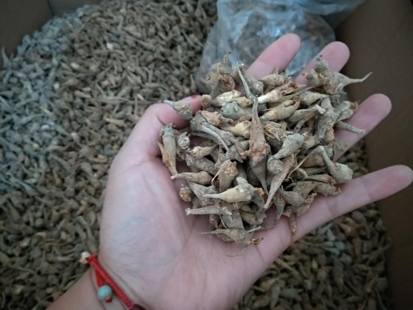 QQ图片20200401144836