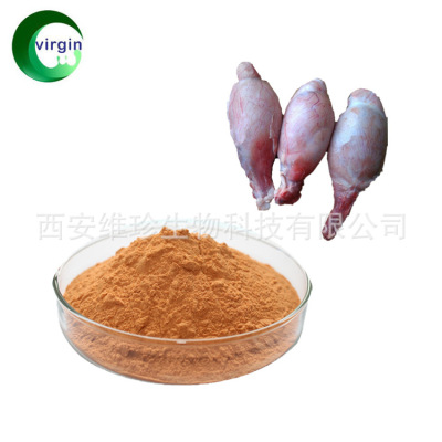 现货供应 羊宝粉 羊睾丸粉 羊睾丸提取物  厂家包邮 可定制提取|ms