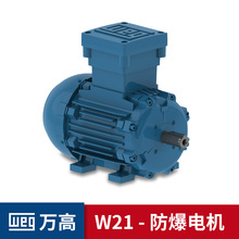 WEG늙C �f�߷����R�_ EXDII BT4Σ�U�^��21�^�M��ATEX����늙C