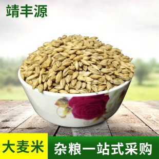 Gansu Yongfeng Original Origin Barli Rice Rice Rice Eat Renpu Wheat Shell Human Wholesale