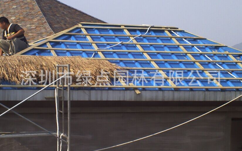 黄茅草屋顶 (22)