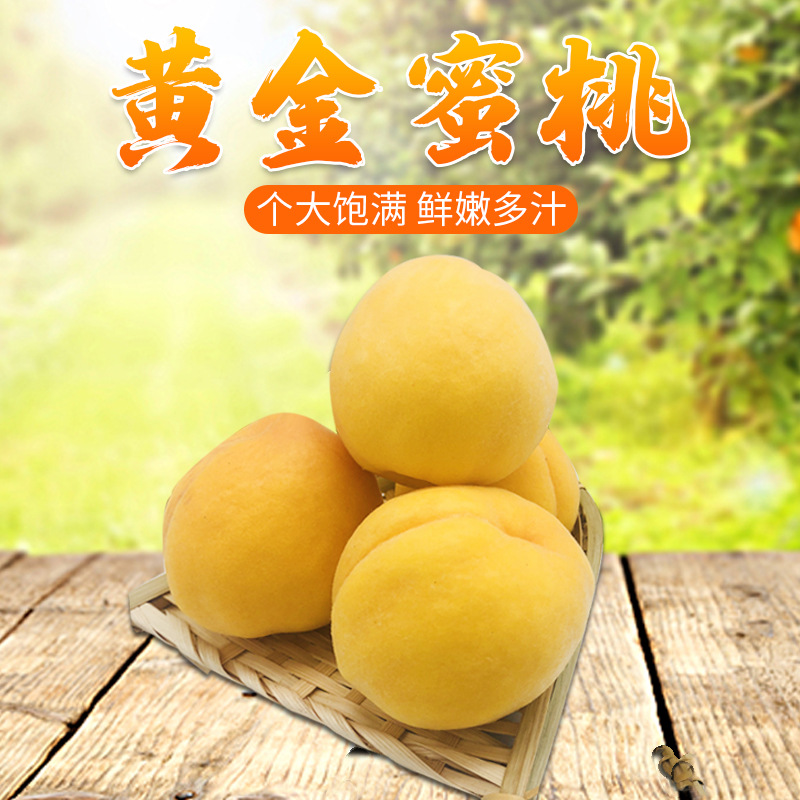 山东蒙阴现摘新鲜桃子水果毛桃脆甜多汁水蜜桃3斤5斤包邮黄金蜜桃