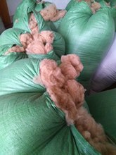 �a��؛Դ ���� ˮϴ�qԭ�� �q�������