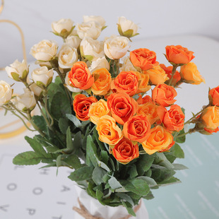 �羳���Q27�䱡ëСõ�廨���W���ܷ��滨��Y�c�����bS�ҹ���
