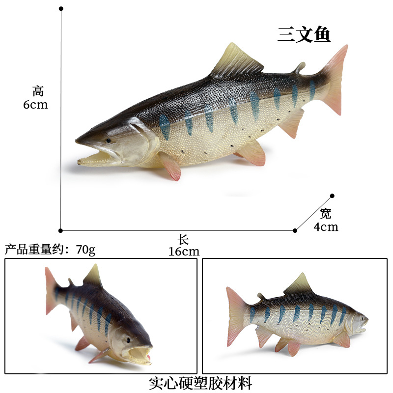 1155三文鱼