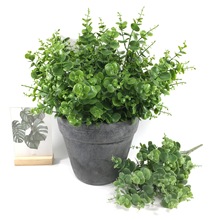 �S�����l����Gֲ�ȼ��� ����ٻ��~�X�� �Ҿ��b��Ĕz�[�����ϻ�