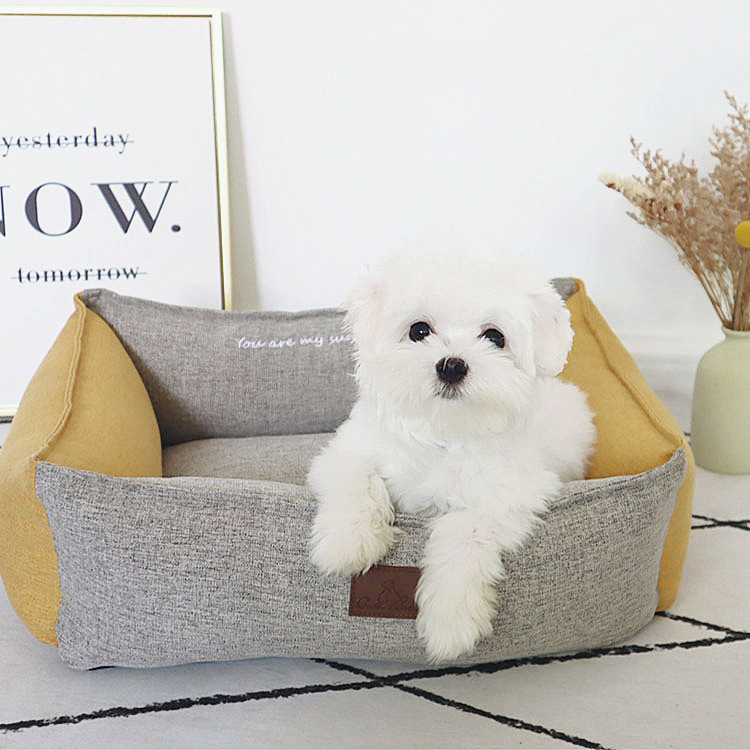 Собаки приходят в четыре сезона собачьего гнездо