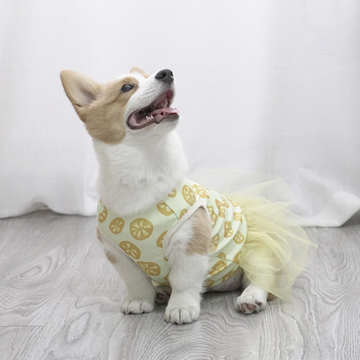 宠它清凉夏季宠物背心裙可爱公主狗裙子薄款泰迪衣服剃毛防蚊