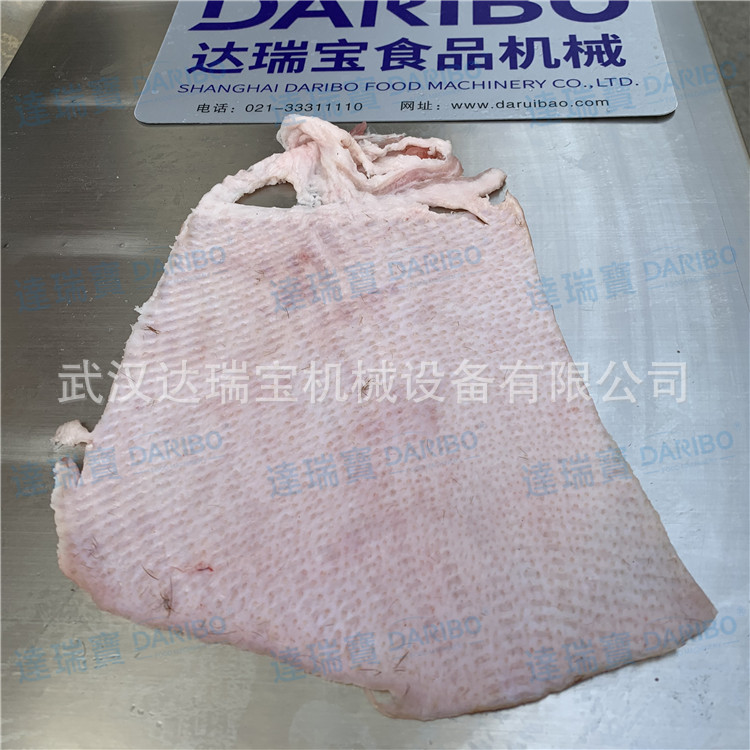 l猪皮冻加工设备 猪五花蹬皮机 带皮卤肉蹬皮机 连续式猪肉扒皮机