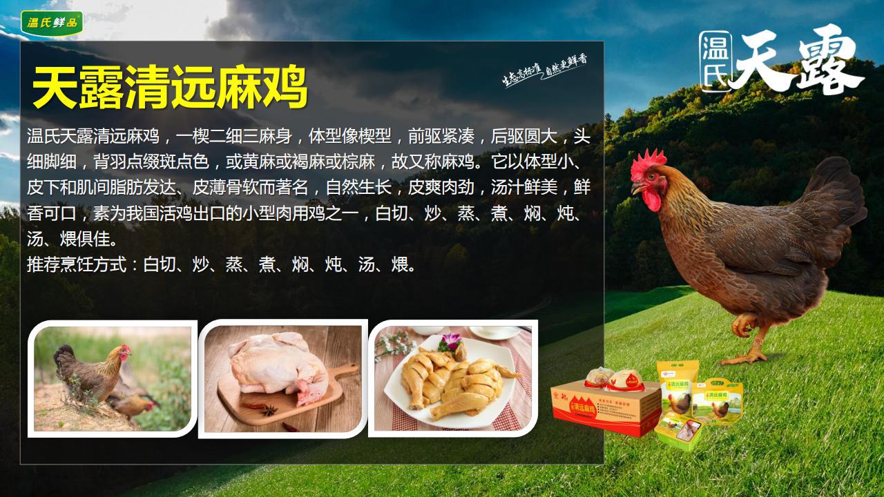 详情介绍