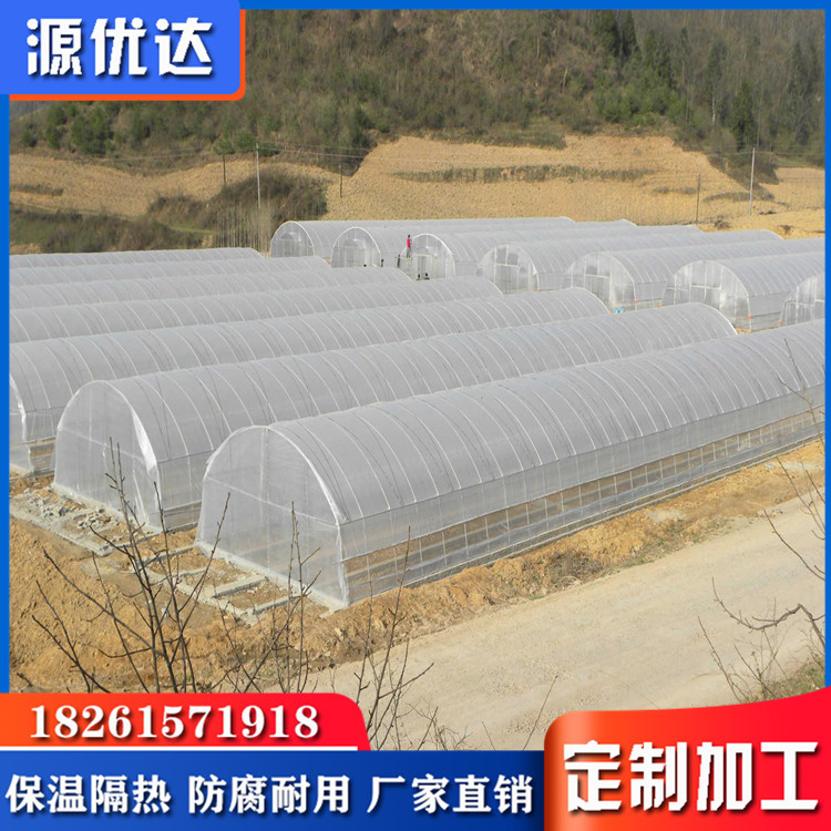 Plastic Film Greenhouse 美国塑料薄膜温室大棚 出口大棚 大棚膜