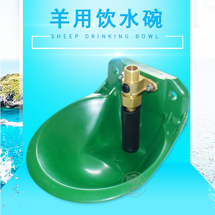 羊饮水碗AA详情页(1).jpg
