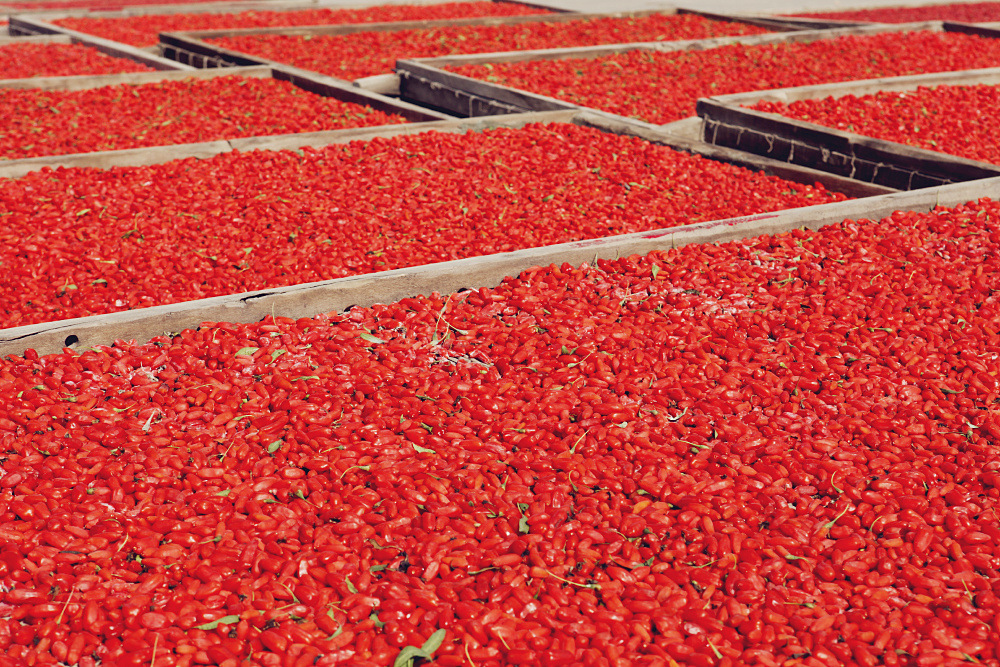 Premium Ningxia Goji Berries Gou Qi Zi Dried Wolfberry for Tea and Soup 40 Jin Bulk Case specifications