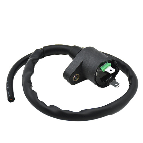 Motorcycle Pearl River High Voltage Ignition Coil Happy CG125GY6-125 WY125JH70 High Voltage Pack Accessory