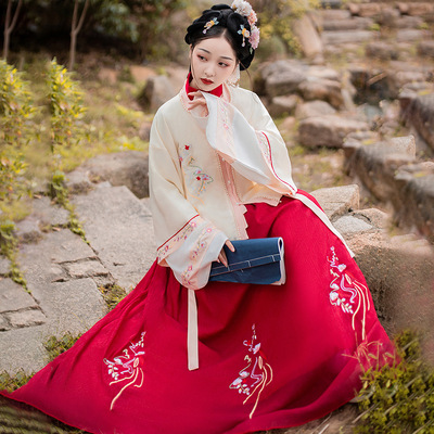 Ming song hanfu women jacket and skirt with Pipa sleeves