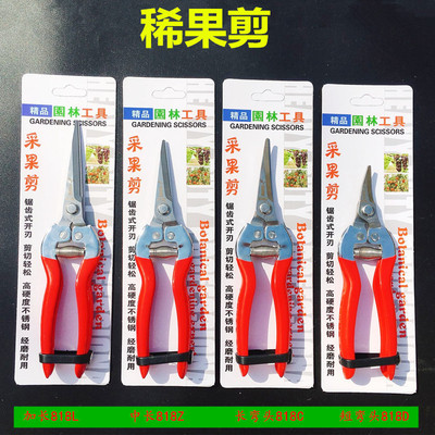 佐中田系列摘果剪稀果剪葡萄橘子花椒采摘剪桔子枝剪芽剪果园花剪|ru