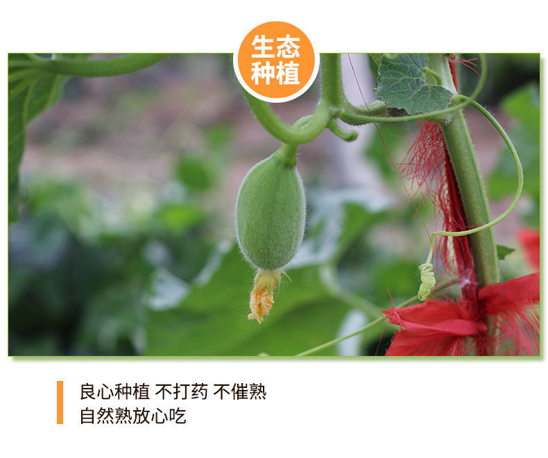 c548cd921f38ab83673b34ce1814d7