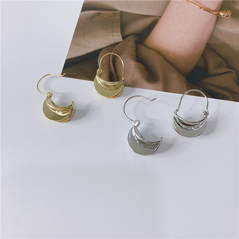 Korea's New Three-dimensional Metal Simple Fashion Earrings display picture 4