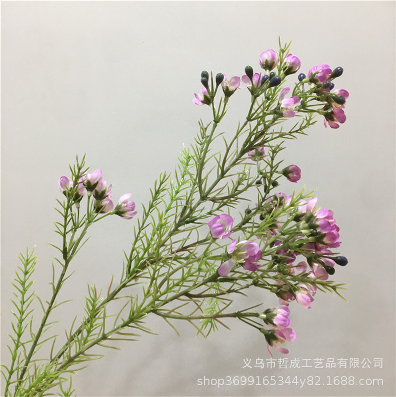 O1CN017d6B9z2L9IDoB7caZ_!!6834