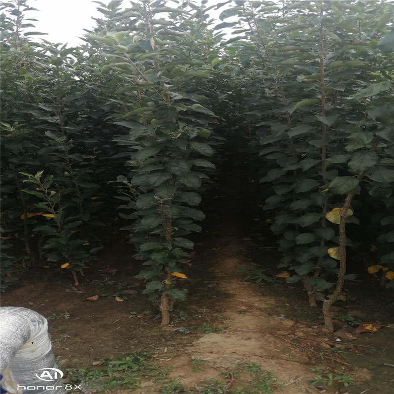 微信图片_2020100611573610