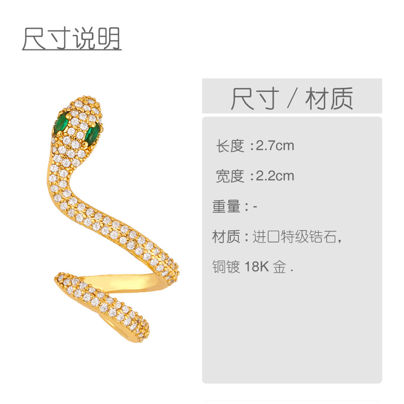 Fashion Creative Micro-set Zircon Snake Earrings Girls Earrings Simple Temperament Snake Earrings Wholesale Nihaojewelry display picture 1