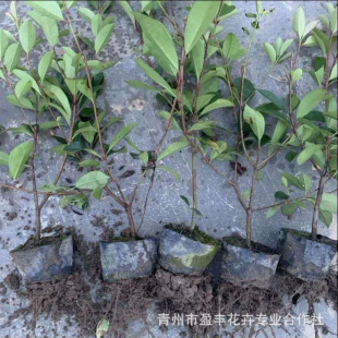 �������a�����Դ��������t�~ʯ�С����NҎ�񹤳���F؛