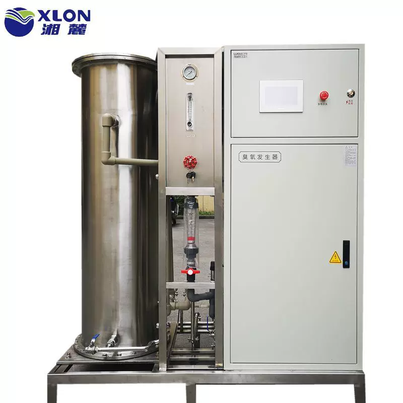 游泳池循环水臭氧消毒 臭氧消毒机 厂家直臭氧发生器