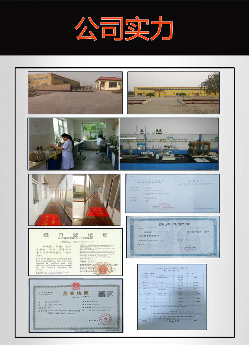 微信图片_20200318222310