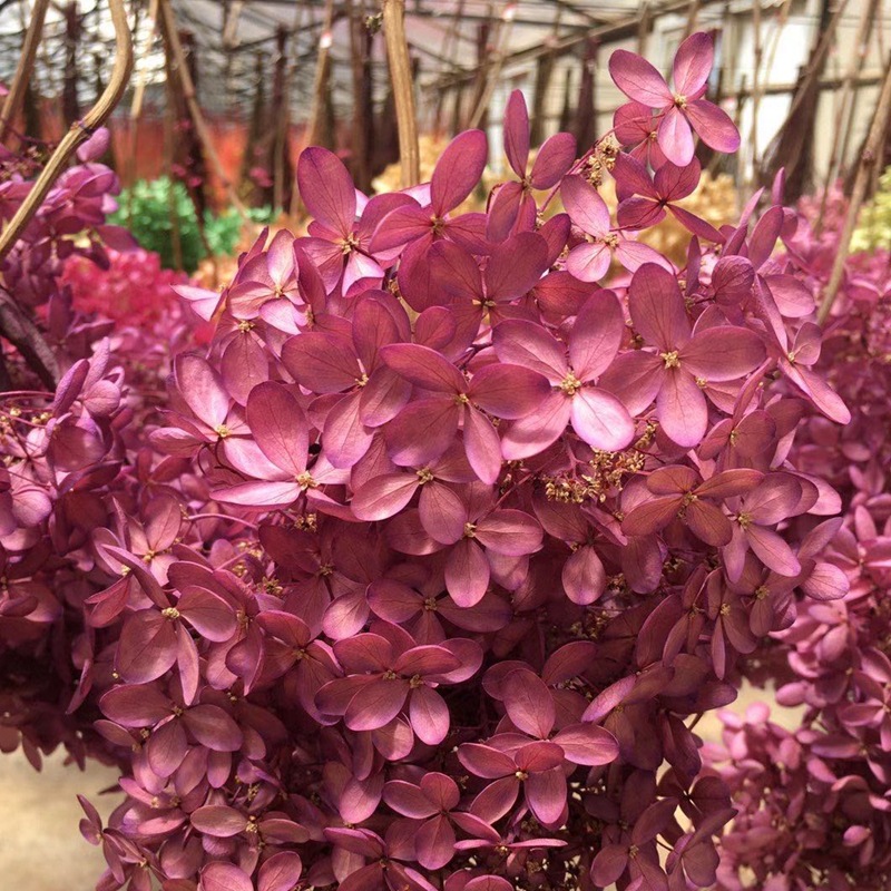 微信图片_20201025133654