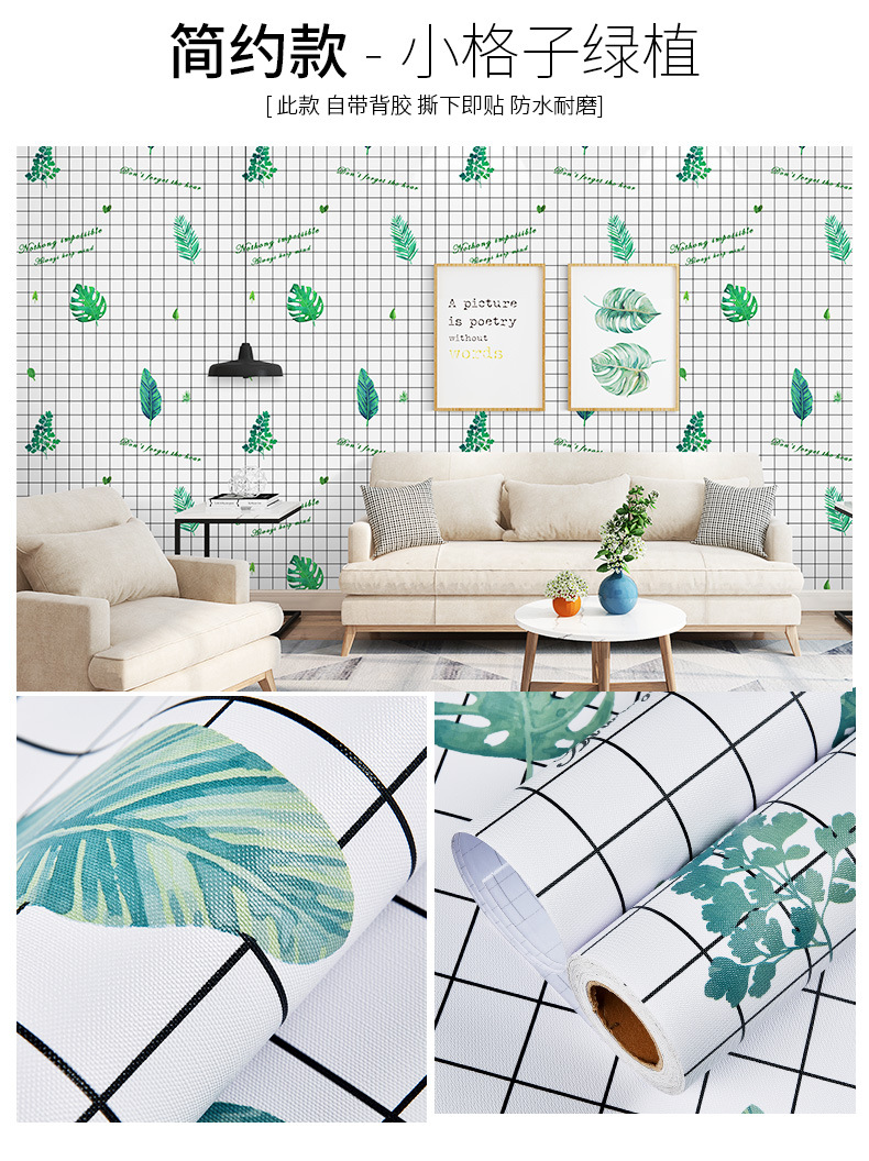小格子绿植.jpg