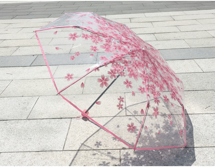 11041562521_2119238038