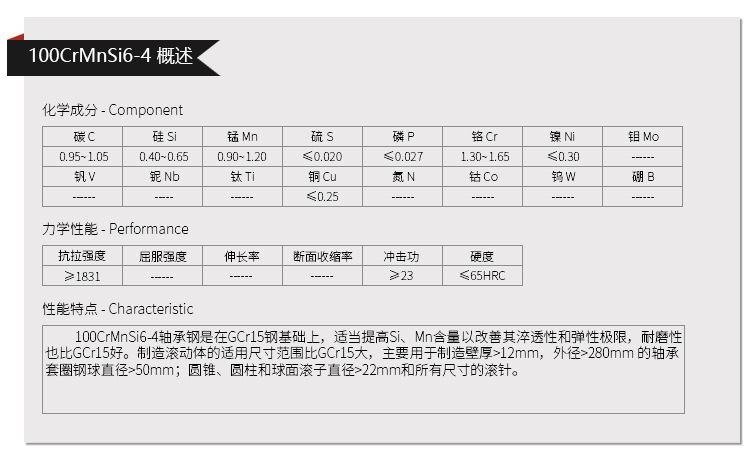 100CrMnSi6-4.jpg