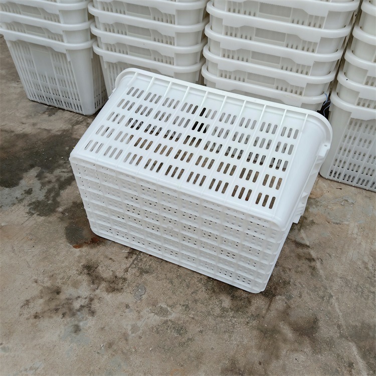 哈尔滨内蒙古冻带鱼周转筐镂空透气水果箩带铁耳套叠塑料筐白色