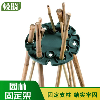 跨境 枝晓 园林竹盘包塑钢管固定架植物固定器竹圆盘花支柱爬藤架|ms